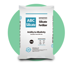 ABC Silicate