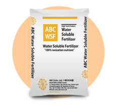 ABC WSF
