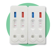 Rapid diagnostic Kit