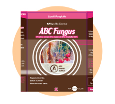 ABC Fungus