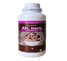 ABC NEMA
