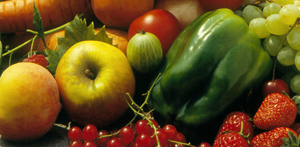 agriculture product and food