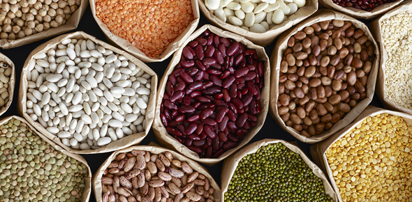 agriculture product and food